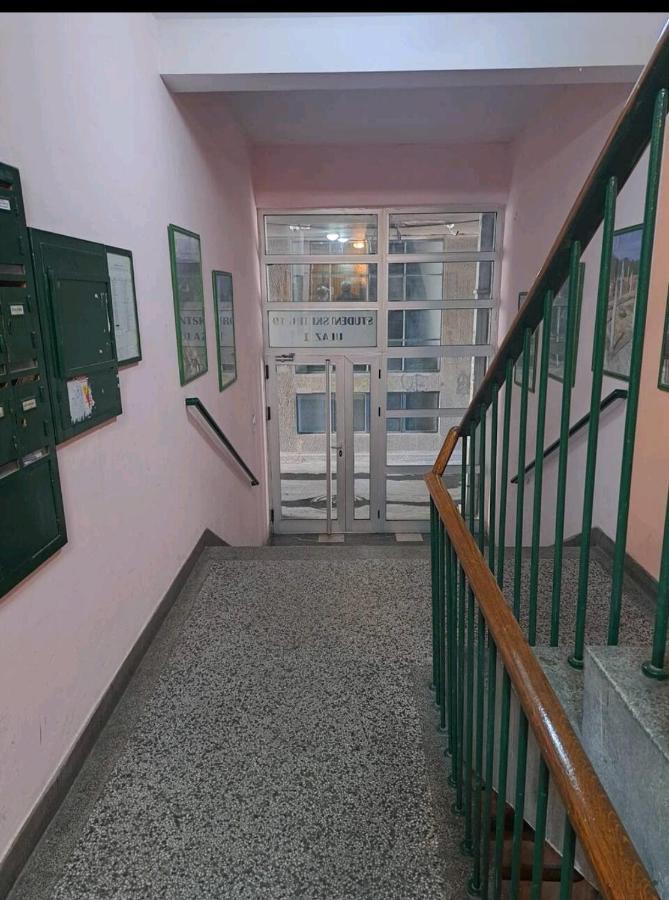 Apartman Milica 2023 Belgrad Exterior foto